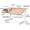 Дитячий стіл Mealux Woodville Multicolor Energy MG Фото 7