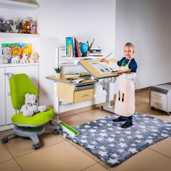 Дитячий стіл Mealux Woodville Multicolor Energy MG