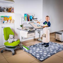Дитячий стіл Mealux Woodville Multicolor Energy TG