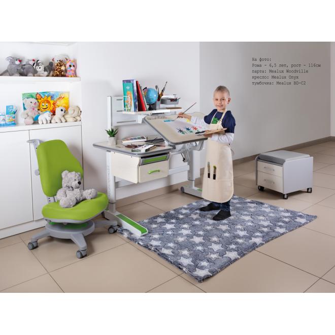 Дитячий стіл Mealux Woodville Multicolor W Фото 3