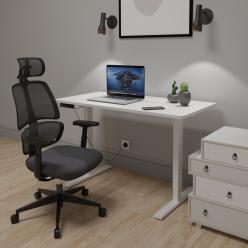 Комплект Mealux PowerDesk Lite White + Leo Air Plus Grey