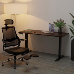 Стіл з електро регулюванням висоти Mealux PowerDesk Duo Antique
