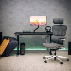 Стіл з електро регулюванням висоти Mealux PowerDesk Duo Antique