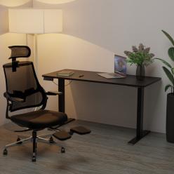 Стіл з електро регулюванням висоти Mealux PowerDesk Duo Black