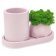 Cup-cute-2-moss